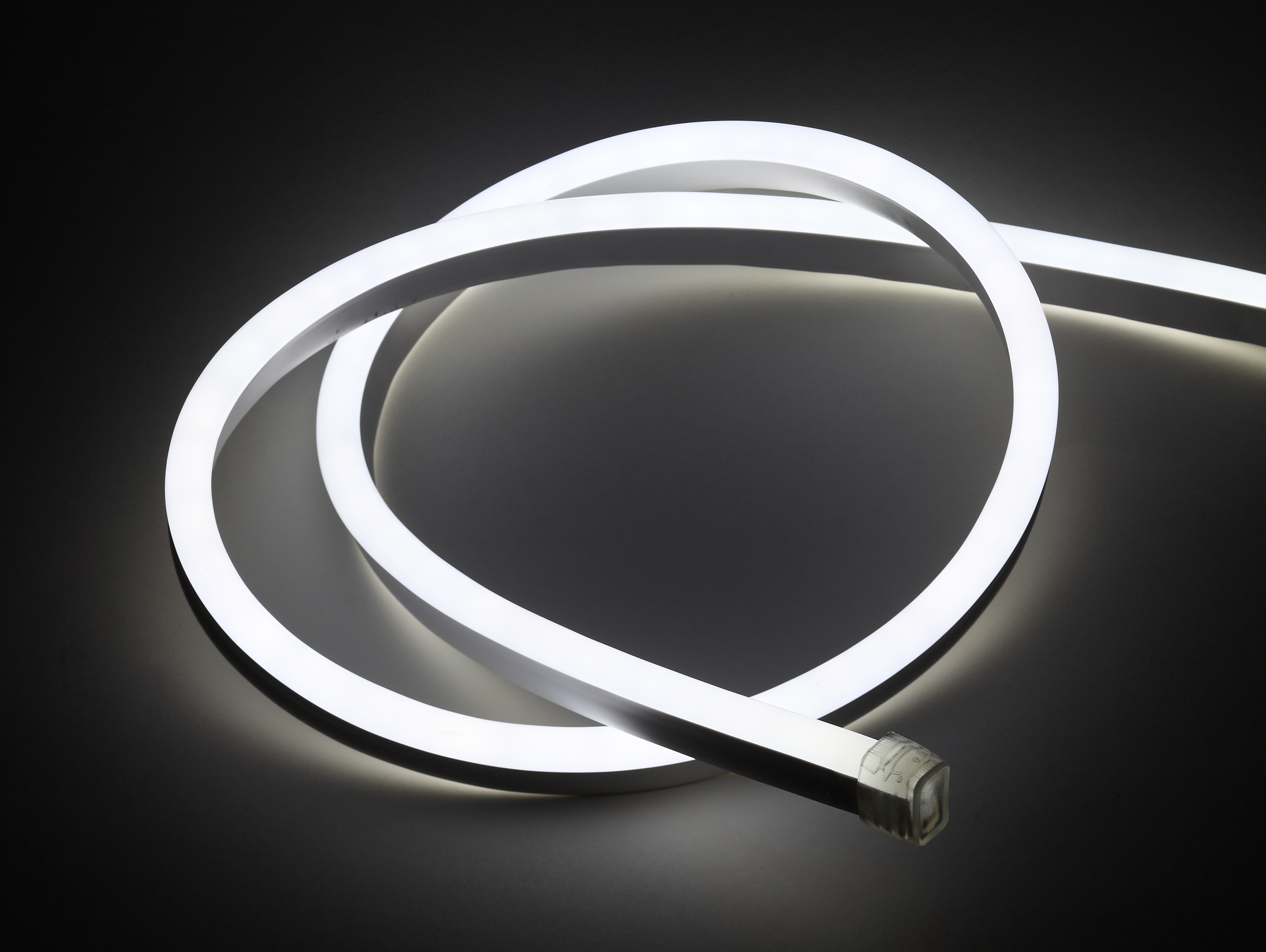 Неоновые ленты - LED ленты - Каталог - Главная