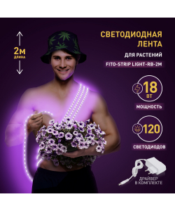 Светодиодная лента для растений ЭРА FITO-Strip Light-RB-2m красно-синего спектра, 2 м, IP65